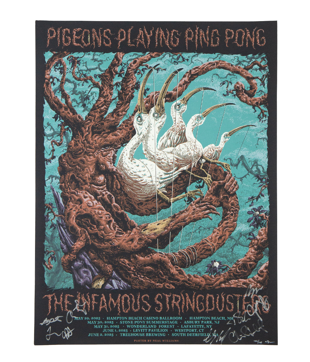 The Infamous Stringdusters and Pigeons Playing Pingpong Tree Harp 2025